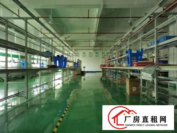  福永桥头新出楼上800平米带豪华装修厂房出租