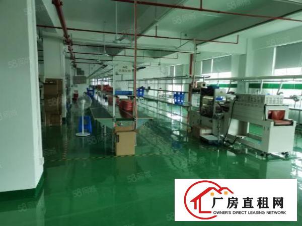  福永桥头新出楼上800平米带豪华装修厂房出租