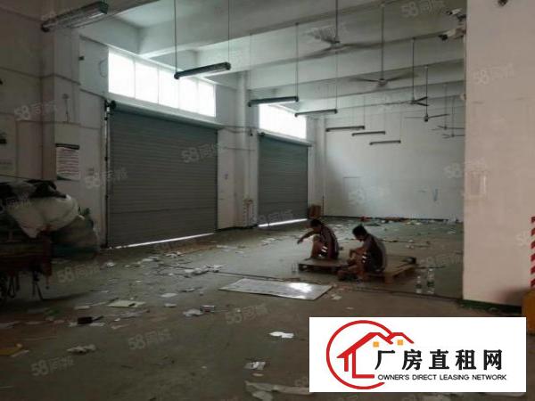  福永，凤凰，原房东厂房一楼1000平方出租九成使用率