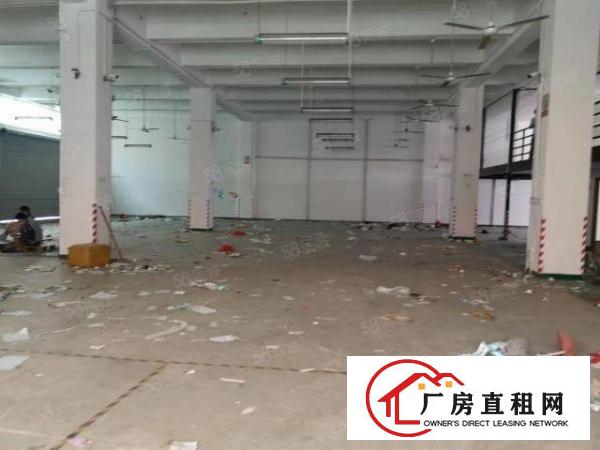  福永，凤凰，原房东厂房一楼1000平方出租九成使用率