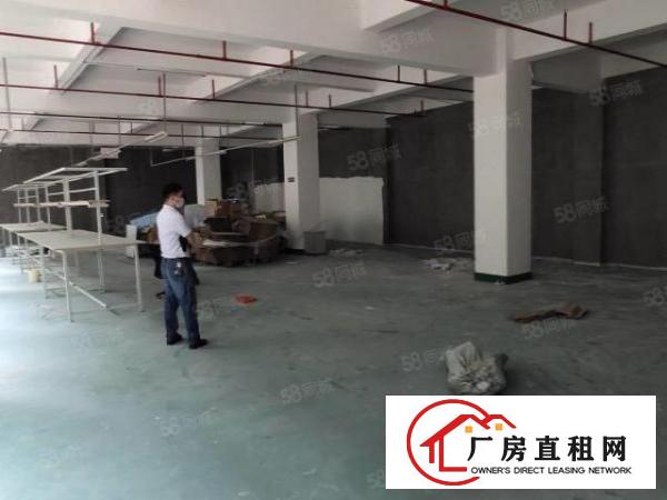  福永新和新出带装修厂房1500平方