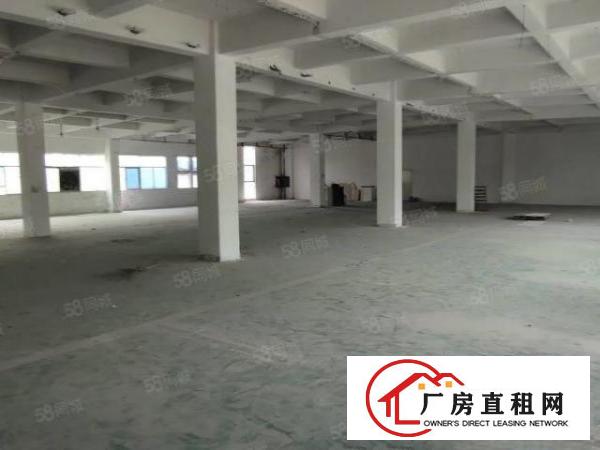  福永新和新出带装修厂房1500平方