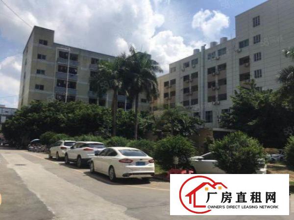  福永和平房东直租二楼整层1900平，随时可看房