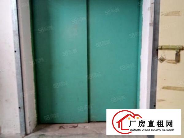  福永凤凰楼上600出租（自家房子）