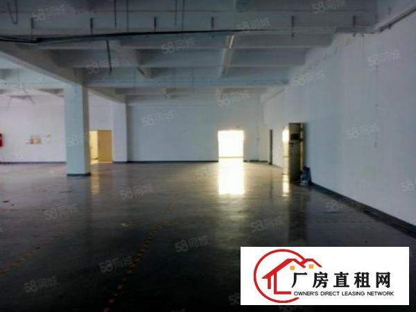  凤凰楼上全空厂房招租