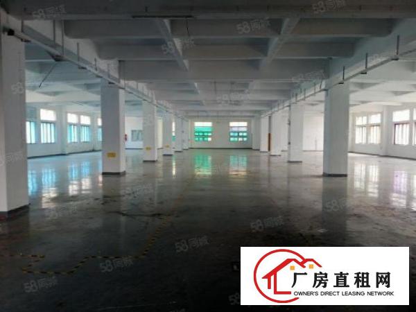  凤凰楼上全空厂房招租