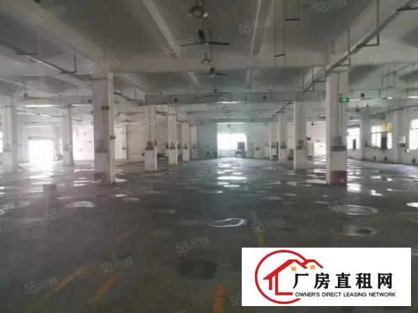  福永桥头原房东实际面积厂房出租2200平带装修无转让费