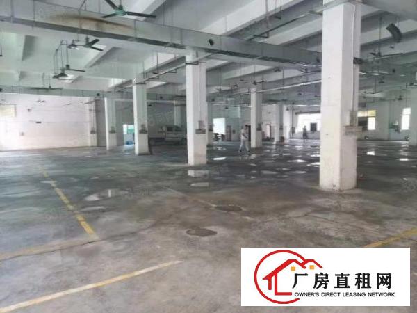  福永桥头原房东实际面积厂房出租2200平带装修无转让费