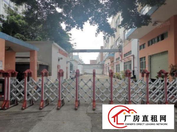  福永地铁口福洲大道边一楼2500平方米整层厂房出租