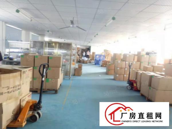  出租宝安区福永镇新和沿江高速路口旁厂房2500平方可分租