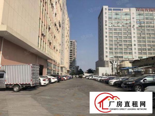  福永和平楼上1000带装修不要转让费原房东直租