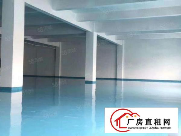  福永凤凰厂房500带装修出租