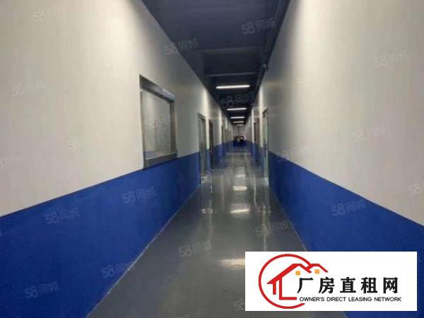  福永凤凰厂房500带装修出租