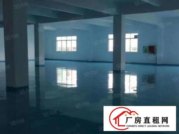  福永凤凰厂房500带装修出租