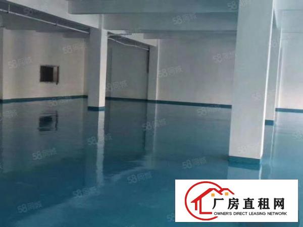  福永凤凰厂房500带装修出租