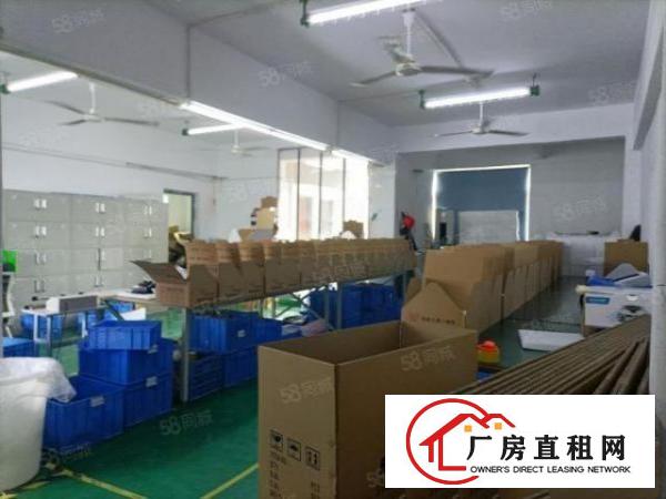  福永和平新出楼上750精装修厂房