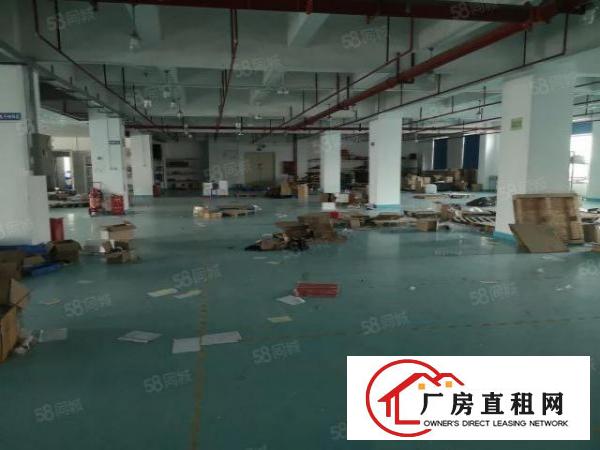  福永桥头新出厂房2100平米带豪华装修招租