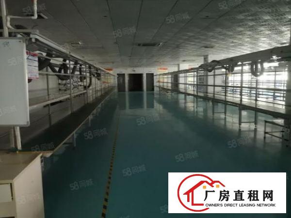  福永桥头新出厂房2100平米带豪华装修招租