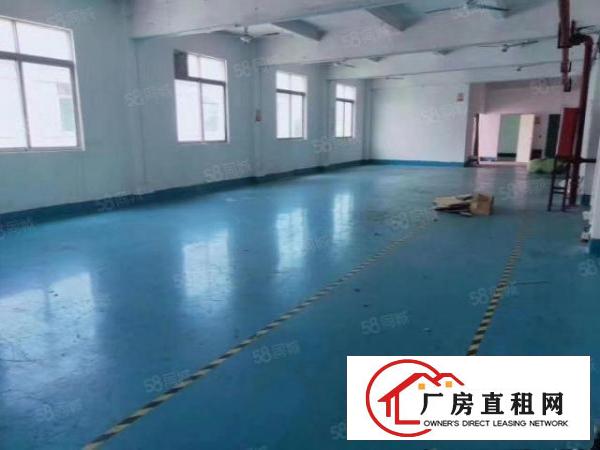 福永新田107国道边600平精装厂房出租
