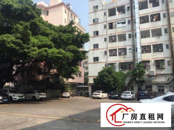  福永（物流仓出租）一楼1200平位于107国道边，园区空地大