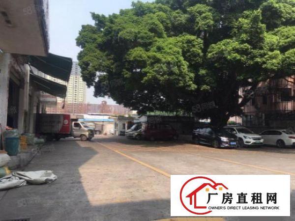  福永（物流仓出租）一楼1200平位于107国道边，园区空地大