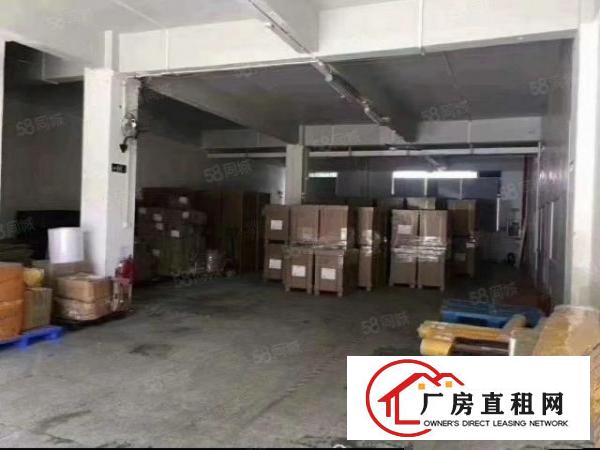  福永大洋田新出一楼600平物流仓库出租