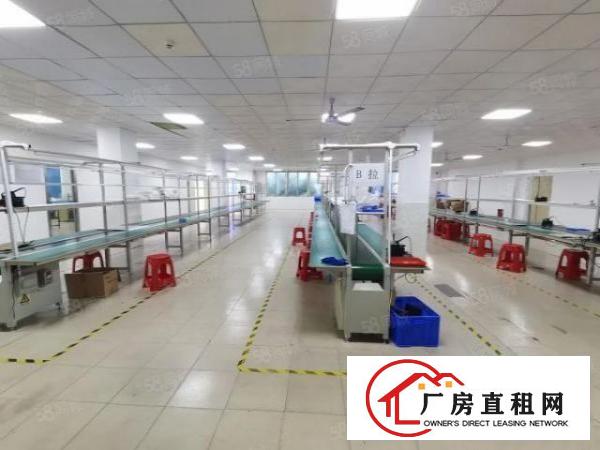  福永新出精装修标准厂房，楼上650平