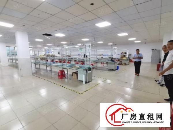  福永新出精装修标准厂房，楼上650平