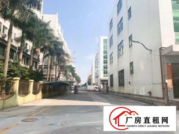  新出来独门独院整栋厂房