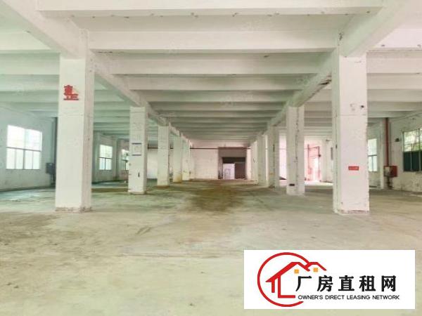  新出来独门独院整栋厂房