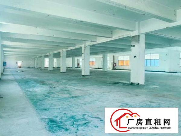  新出来独门独院整栋厂房