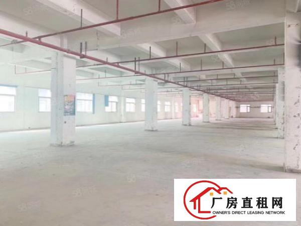  新出来独门独院整栋厂房