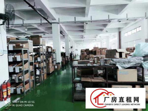  新和新出一楼1000平方