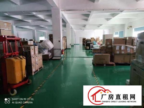  新和新出一楼1000平方