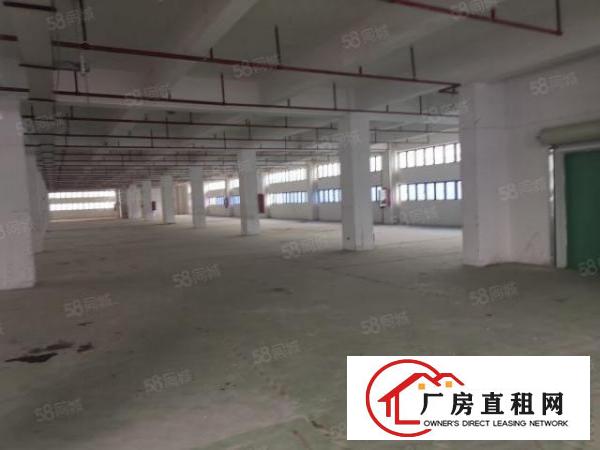  福永塘尾2楼2000平方米整层高新科技园厂房出租
