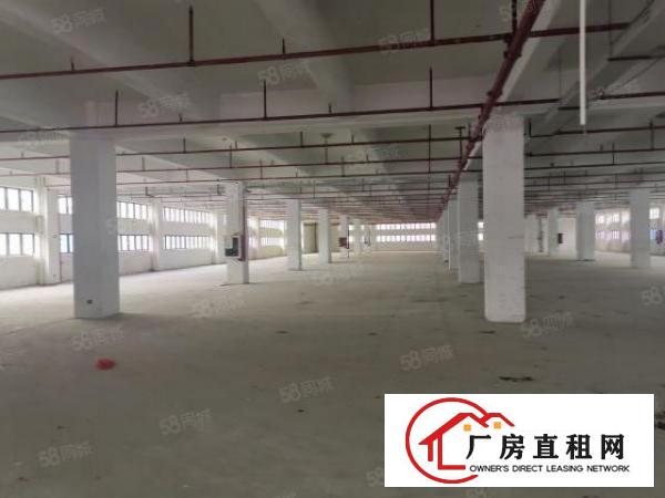  福永塘尾2楼2000平方米整层高新科技园厂房出租