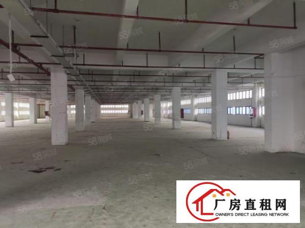  福永塘尾2楼2000平方米整层高新科技园厂房出租
