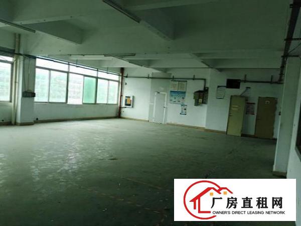  福永凤凰厂房精装修800平米，2000平米