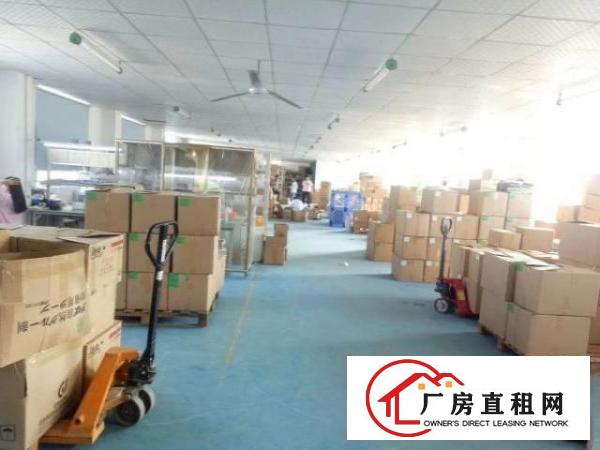  福永凤凰厂房精装修800平米，2000平米