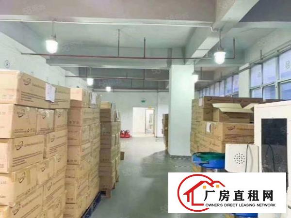  福永厂房出租厂房分租800平方工业园厂房找厂房出租原房东
