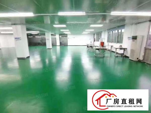  和平新空出1800平方厂房带装修