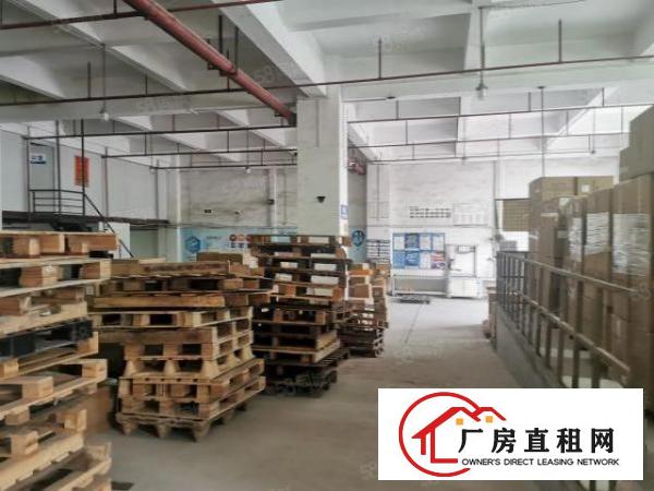  福永新和2000平物流仓库出租，能进大货车