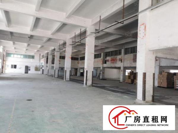  福永新和2000平独院仓库空地大能进去大车