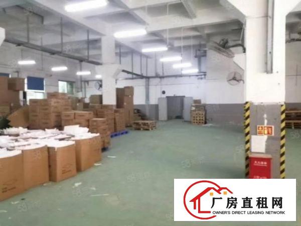  福永新和沿江高速路口新出一楼900平方
