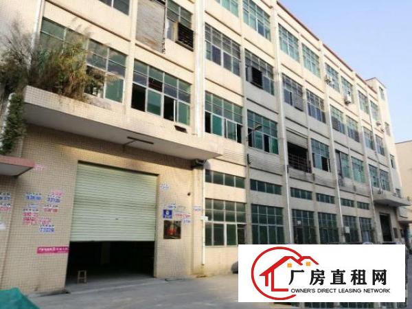  沙井新桥楼上1250平精装修厂房，原房东合同，独门独院环境好