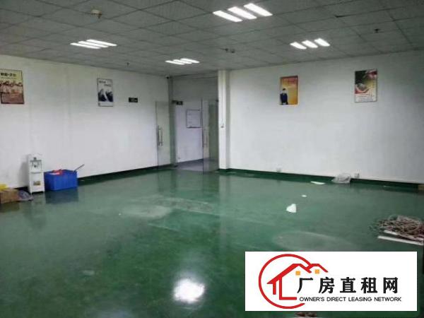  沙井新桥楼上1250平精装修厂房，原房东合同，独门独院环境好