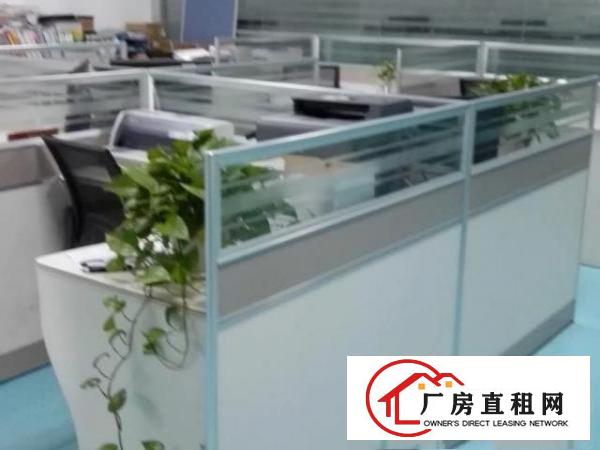  豪华装修，分租宝安沙井1000多平方米厂房，非中介