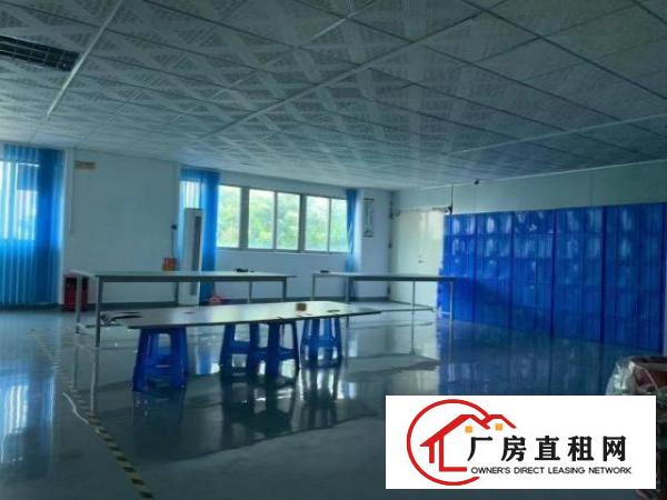  豪华装修无尘车间出租