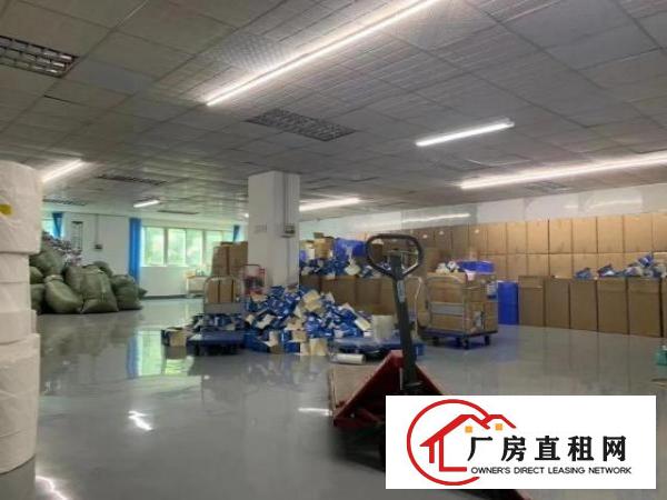  豪华装修无尘车间出租