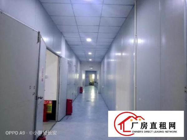  （非中介）业主直租厂房